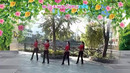 安庆红娘子广场舞《山花朵朵开》