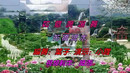如意广场舞 花桥流水