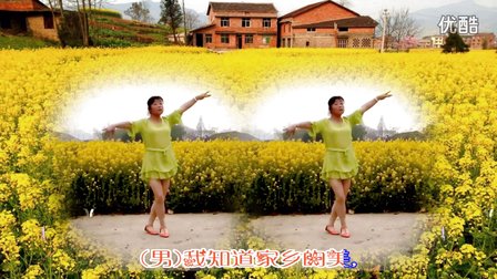 陈意莲广场舞 油菜花之恋