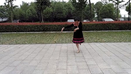 滁州市莲心湖公园广场舞 春到最北方