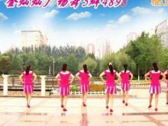 金灿灿广场舞 《在希望的田野上》 步子舞 含背面分解教学