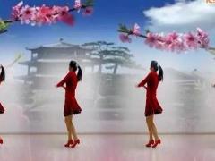 金灿灿广场舞 来吧姑娘 正面演示