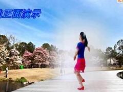 金灿灿广场舞 被你迷的快失忆