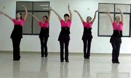 长沙中信舞蹈队广场舞《爱情神马价》附背面口令教学视频