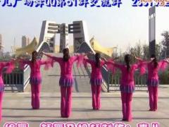 青儿广场舞 《你是我今生的依靠》 含分解动作