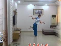 盛泽雨夜广场舞 《拔根芦柴花》 编舞艺子龙 応子