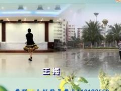 银盘广场舞 摆手舞 与廖第合作版  附教学