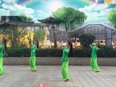 新风尚广场舞 《语花蝶》 含背面分解教学
