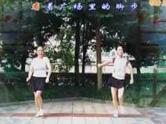 新风尚广场舞 妈妈的舞步 姐妹合拍