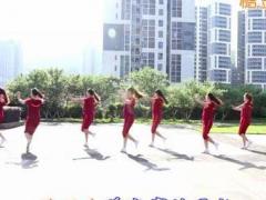 重庆叶子广场舞《不要不要的》附教学