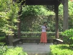 盛泽雨夜广场舞 《惊鸿一面》