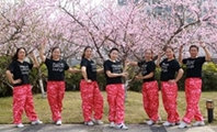 重庆叶子广场舞 我不是狼DJ 原创附分解
