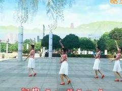 新风尚广场舞 《今夜雨蒙蒙》 含背面动作分解教学