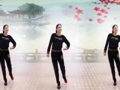 金灿灿广场舞 妹妹不哭 正反面附分解