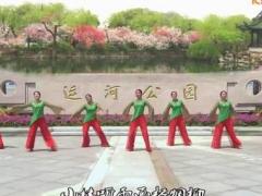 盛泽雨夜广场舞《江南女儿情》附分解 形体