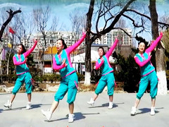 刘荣广场舞 《宝贝麦西西》 含背面动作分解教学