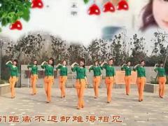 开云广场舞《陪你散步》附分解及背面演示