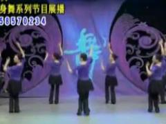 紫蝶广场舞 《瓦加里》