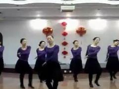 紫蝶踏歌广场舞《月光》