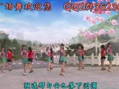 开云广场舞 《亲爱的你在哪里》 含背面分解 原创对跳