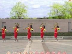 盛泽雨夜广场舞《天边的笑脸》附分解