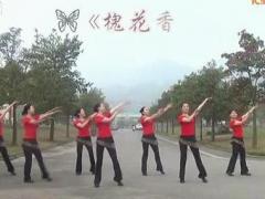 紫蝶踏歌广场舞 槐花香 附背面分解