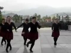 紫蝶踏歌广场舞《美丽的蒙古包》