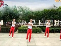 新风尚广场舞 《潇洒人生》 含背面分解教学