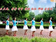 金灿灿广场舞 梦中想着你 教学团队版