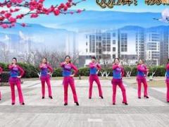 重庆叶子广场舞《你是第一》附分解教学