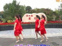 江南雨广场舞 《愿》 双人舞 含背面分解教学