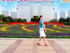 金灿灿广场舞 《情暖一生》 含背面分解教学