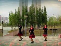广西柳州彩虹健身队姊妹花广场舞 我在纳林湖等着你