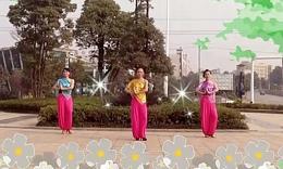 长沙中信舞蹈队广场舞 《泰园乐》