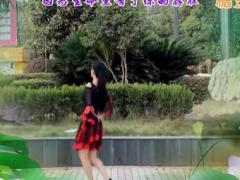 新风尚广场舞 《想着你的好》 含背面分解教学