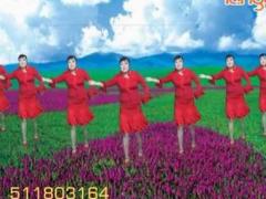 云莲飞舞广场舞 《达坂城的姑娘》