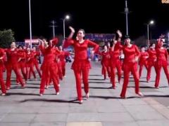 温州燕子广场舞 美极了 背面演示跟教学
