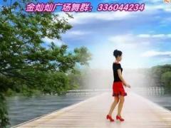 金灿灿广场舞 漂亮小妹 附背面演示