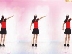 金灿灿广场舞 《真的没骗你dj》 含背面动作分解教学