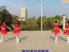 玉全广场舞 《一万个对不起》 双人对跳团队版 含背面分解教学