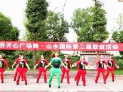 重庆叶子广场舞 《中国广场舞》 附分解教学