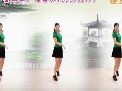 金灿灿广场舞 《小花DJ》 含背面分解教学