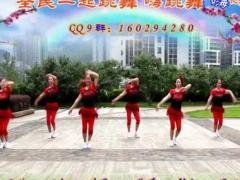 重庆叶子广场舞 《全民共舞》 含背面分解教学