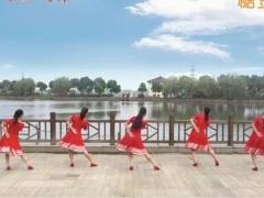 苏州盛泽雨夜广场舞 《姑娘姑娘》 步子舞 含背面分解教学
