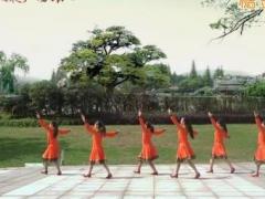 苏州盛泽雨夜广场舞《问草原》中三 含背面分解教学
