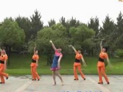 动动广场舞 《敖包再相会》 含背面教学