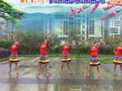 重庆叶子广场舞 《十八的姑娘一朵花》 含背面分解教学