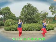乔茜广场舞 你是我今生的依靠