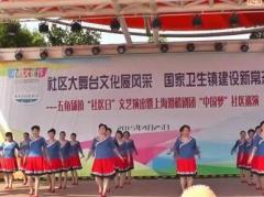 红舞鞋广场舞 队应邀参加市民文化节 社区日 文艺演出