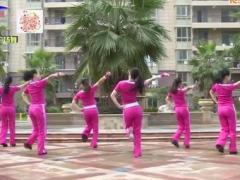 杨丽萍广场舞《舞动人生》含背面口令分解教学 动感健身舞